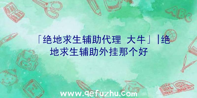「绝地求生辅助代理